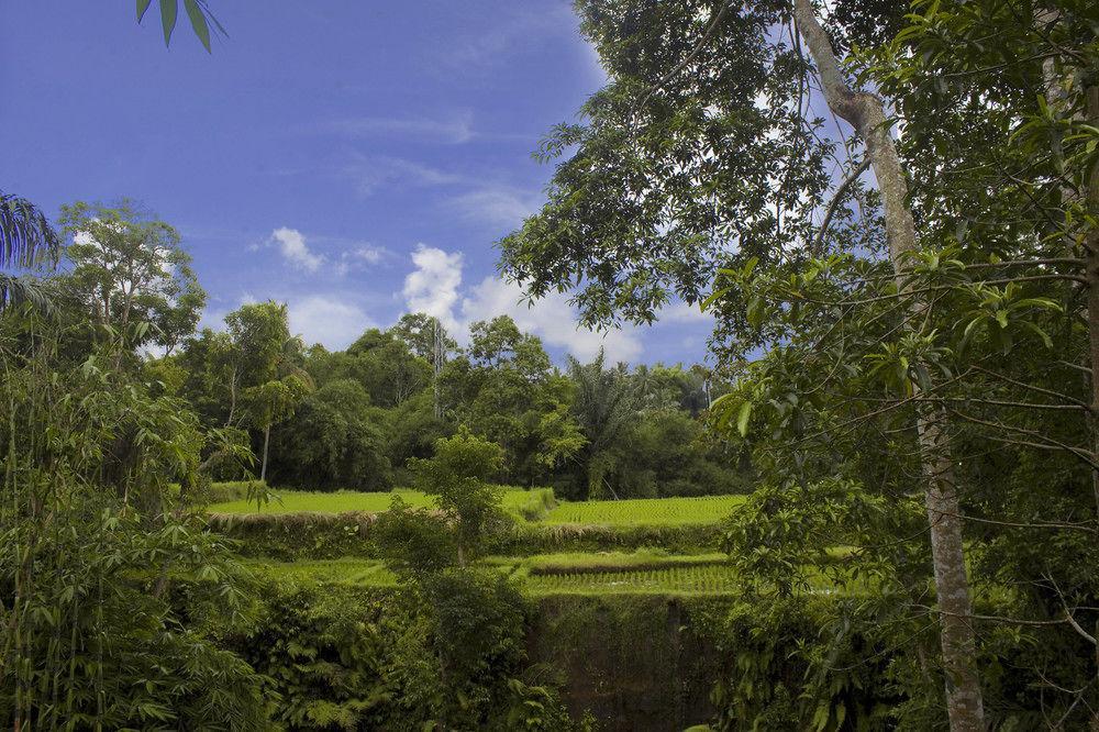 Alam Dania Holiday park 4*